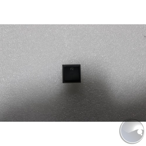 Plastic Moulding KeyCap "High Light" backlit 1X1
