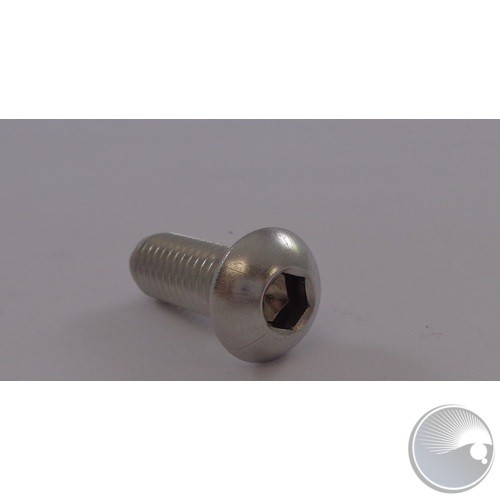 M8*20 INNER HEXAGON SCREW - BLACK (BOM#12)