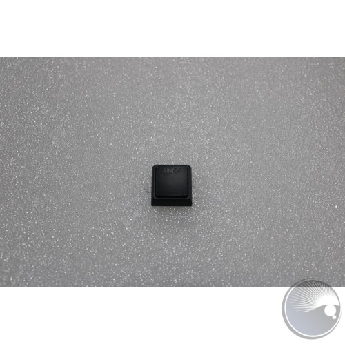 Plastic Moulding KeyCap "UNDO" backlit 1X1