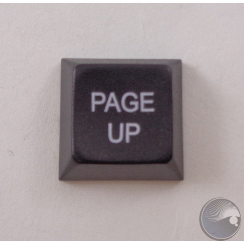 Key Cap 'PAGE UP' Non-Windowed