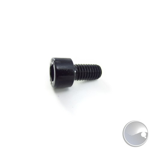 Allen Screw M6x12 (BOM#09)