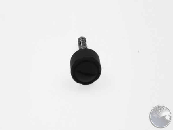 Martin Screw for safety wire