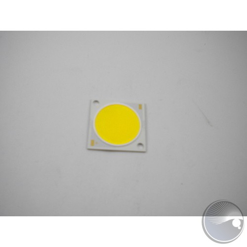 COOL WHITE LED