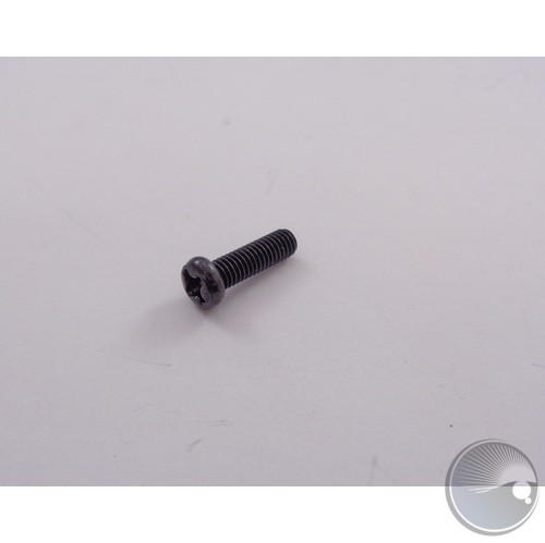 Screw PM 3x10mm Fe 48