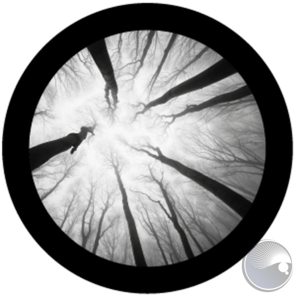 PL Gobo "Nature Branches 5", E-Size, schwarz/weiß