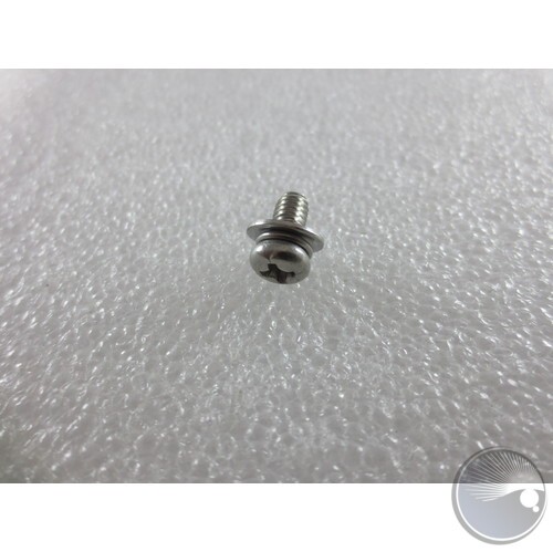 Screw small stainless steel with 2 washers attached phillip head