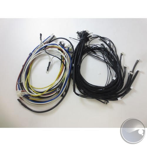 Complete Wire Harness