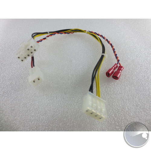 Cable Assembly MQ50/70 DC/Relay-Coil/Battery Cable Assembly MQ50/70 DC/Relay-Coil/Battery