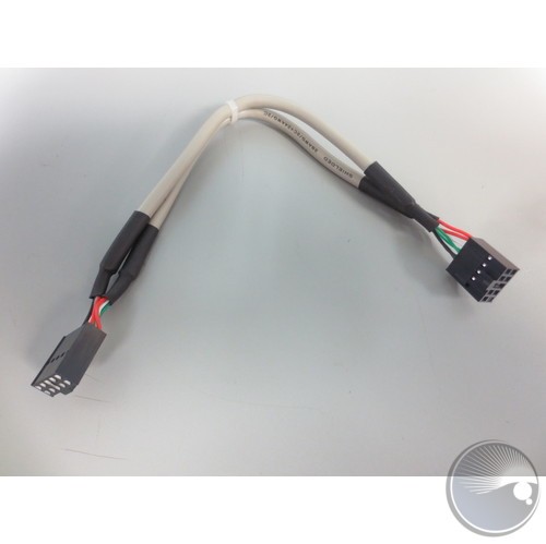 Cable Assembly Dual USB C-Grid Headers Internal Link