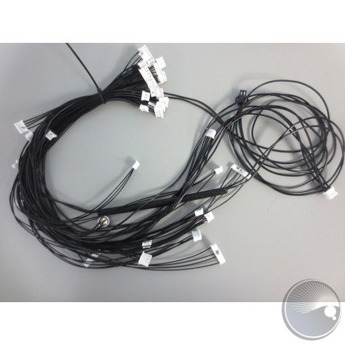 Motor Wire Harness