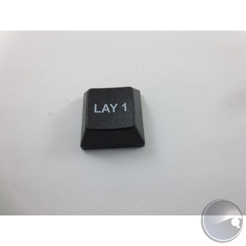 Plastic Moulding KeyCap 'LAY1' Non-Windowed
