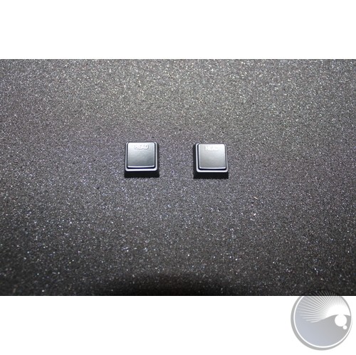 Plastic Moulding KeyCap "Head" backlit 1X1
