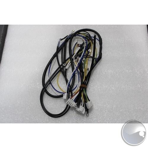 Complete Wire Harness